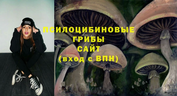 соль ск Зеленокумск