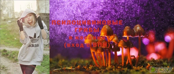 шишки Зерноград