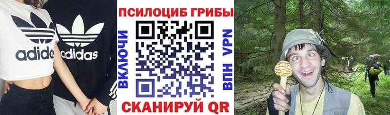 Купить закладки  Котельниково  Псилоцибиновые грибы Psilocybe 